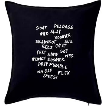 Polštář Generace Z - Gen Z slovník - Polštář 50x50 - 50x50 - Pouze potah ( Černá )