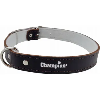 Obojek pro psa Kožený obojek pro psa Champion vel. L/XL