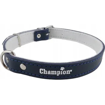 Obojek pro psa Kožený obojek pro psa Champion, velikost L