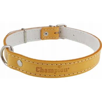 Obojek pro psa Kožený obojek pro psa Champion vel. M/L
