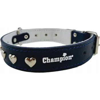 Obojek pro psa Kožený obojek pro psa Champion vel. M/L