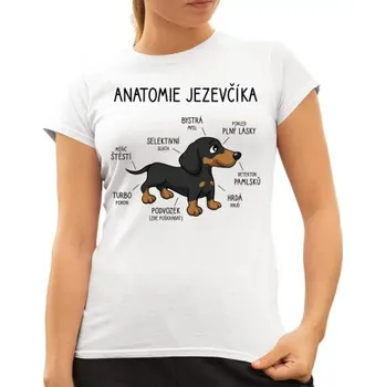Žertovný předmět Anatomie jezevčíka - dámské tričko s potiskem- Tričkový.cz