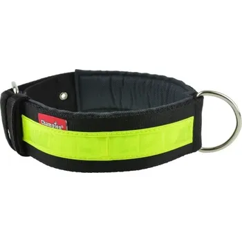 Obojek pro psa Materiálový obojek pro psa Champion, velikost XL