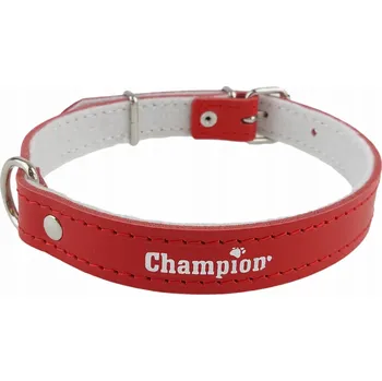 Obojek pro psa Kožený obojek pro psa Champion vel. M/L