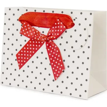 Dárková taška DÁRKOVÁ TAŠKA TAŠKA BÍLÁ S PUNTÍKY 11x14x6
