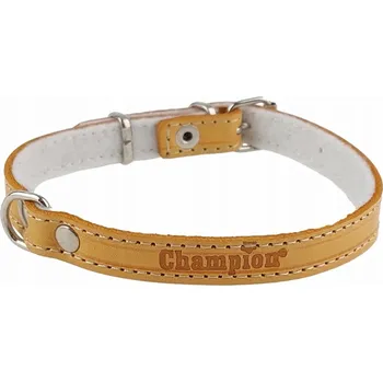 Obojek pro psa Kožený obojek pro psa Champion vel. XS