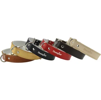 Obojek pro psa Kožený obojek pro psa Champion vel. XL