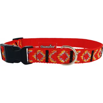 Obojek pro psa Materiálový obojek pro psa Champion vel. L/XL