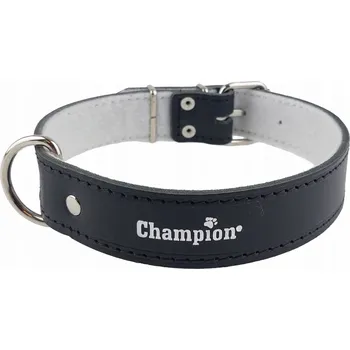 Obojek pro psa Kožený obojek pro psa Champion, velikost L