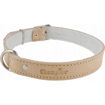 Obojek pro psa Kožený obojek pro psa Champion vel. L/XL