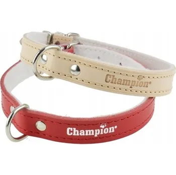 Obojek pro psa Kožený obojek pro psa Champion vel. S/M