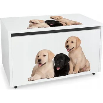 Truhla Truhla na hračky Leomark 71 x 45 cm bílá