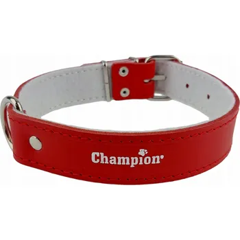 Obojek pro psa Kožený obojek pro psa Champion vel. M/L