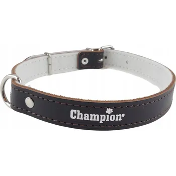 Obojek pro psa Kožený obojek pro psa Champion, velikost L