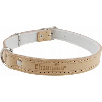 Obojek pro psa Kožený obojek pro psa Champion, velikost L
