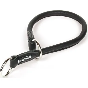 Obojek pro psa Kožený obojek pro psa Champion, velikost L