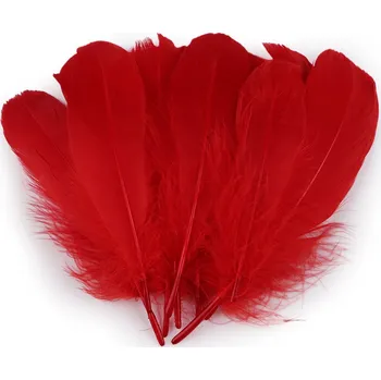 Husí peří délka 14-18 cm, barva 10 červená tmavá
