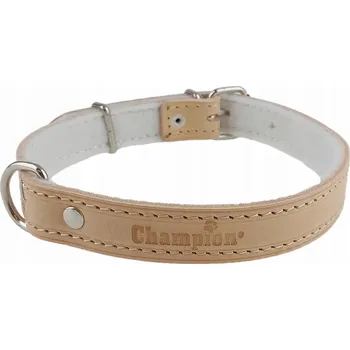 Obojek pro psa Kožený obojek pro psa Champion vel. M/L