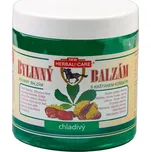 Bylinný balzám s kaštanem koňským - chladivý 500ml 227061238
