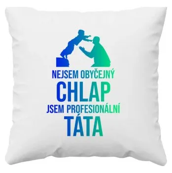 Žertovný předmět Nejsem obyčejný chlap, jsem profesionální táta - polštář s potiskem- Tričkový.cz