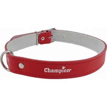Obojek pro psa Kožený obojek pro psa Champion vel. L/XL