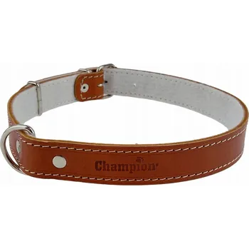 Obojek pro psa Kožený obojek pro psa Champion vel. L/XL