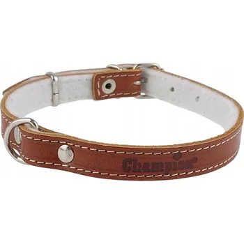 Obojek pro psa Kožený obojek pro psa Champion vel. XS/S