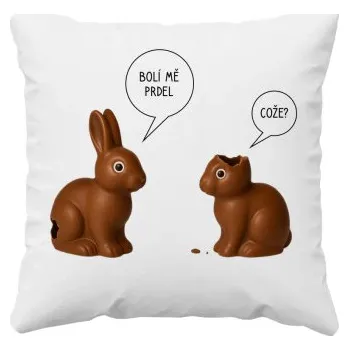 Žertovný předmět Bolí mě prdel - polštář s potiskem- Tričkový.cz