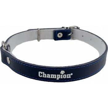 Obojek pro psa Kožený obojek pro psa Champion vel. M
