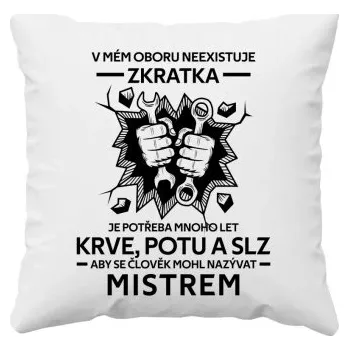 Žertovný předmět V mém oboru neexistuje zkratka - mistr - polštář s potiskem- Tričkový.cz