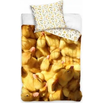 Povlečení Sada povlečení Carbotex 140 x 200 cm, vícebarevné