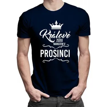 Žertovný předmět Králové jsou narozeni v prosinci - pánské tričko s potiskem- Tričkový.cz
