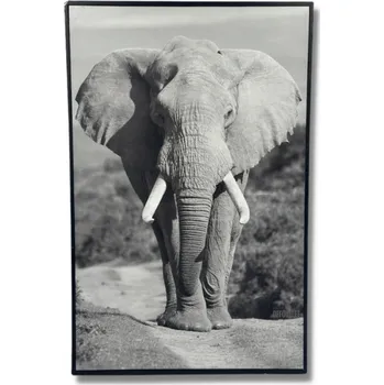 Obraz PLÁTNO S POTISKEM SLON OBRAZ 57,5 X 37,5 CM VELKÉ
