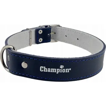 Obojek pro psa Kožený obojek pro psa Champion, velikost L
