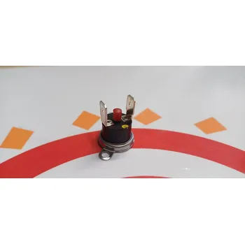 Kotel Thermona Termostat havarijní 100°C Protherm 0020094666