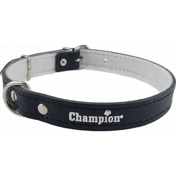 Obojek pro psa Kožený obojek pro psa Champion, velikost L