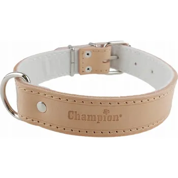 Obojek pro psa Kožený obojek pro psa Champion vel. M/L