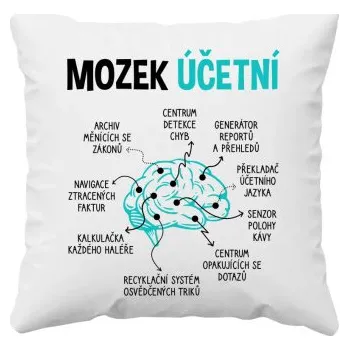 Žertovný předmět Mozek účetní - polštář s potiskem- Tričkový.cz