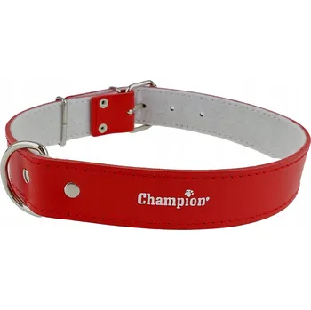 Obojek pro psa Kožený obojek pro psa Champion vel. XXL