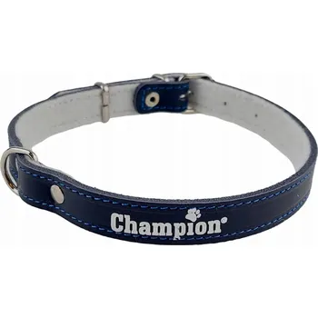 Obojek pro psa Kožený obojek pro psa Champion vel. S