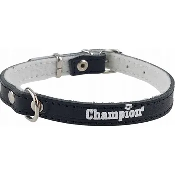 Obojek pro psa Kožený obojek pro psa Champion vel. XS