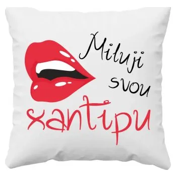 Žertovný předmět Miluji svou xantipu V2 - polštář s potiskem- Tričkový.cz