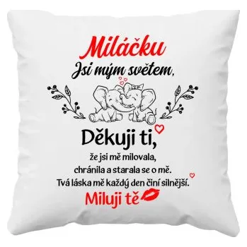 Žertovný předmět Miláčku Jsi mým světem - polštář s potiskem- Tričkový.cz