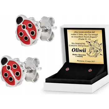 Náušnice STŘÍBRNÉ NÁUŠNICE PRO DĚTI 925 BERUŠKY DÁREK