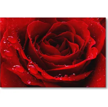 Obraz Obraz na plátně ČERVENÁ RŮŽE S KAPKAMI ROSY DO LOŽNICE 30 x 20 cm