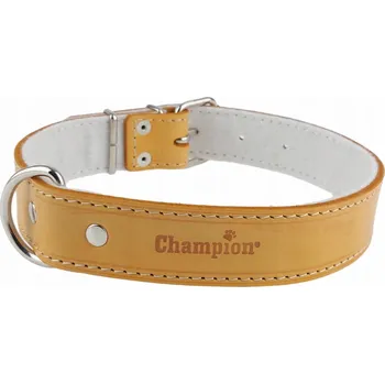 Obojek pro psa Kožený obojek pro psa Champion, velikost L