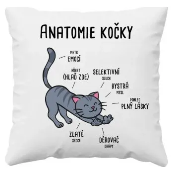 Žertovný předmět Anatomie kočky - polštář s potiskem- Tričkový.cz