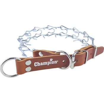 Obojek pro psa Kovový obojek pro psa ostnatý obojek Champion vel. XL