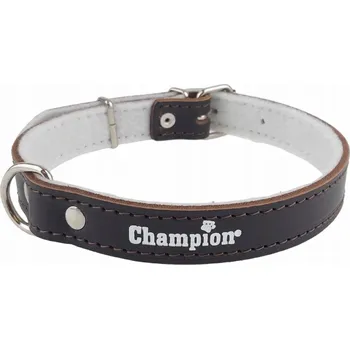 Obojek pro psa Kožený obojek pro psa Champion vel. M/L