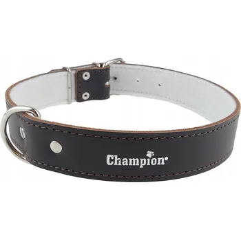 Obojek pro psa Kožený obojek pro psa Champion vel. 3XL
